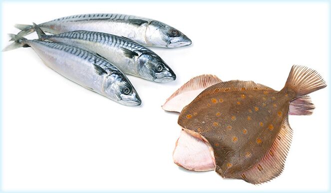 الماكريل والسمك المفلطح - سمكة تزيد من فاعلية الرجال