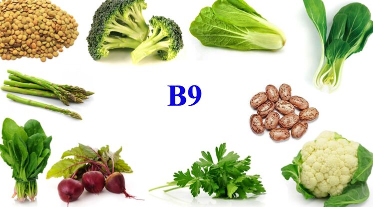 فيتامين B9 في المنتجات للقوة